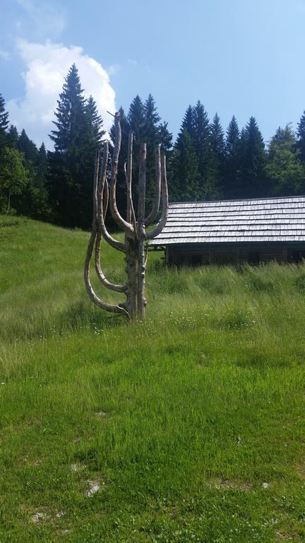 Brunarica Bled Zatrnik Pokljuka Eksteriør billede